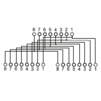 Netzwerk Splitter, Verteiler, Y-Adapter, Beschaltung 1:1 , LAN, Ethernet