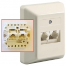 ISDN Doppel-Dose für 2 Leitungen, 8/8(4)-8/8(4), mit integriertem Endwiderstand